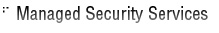 managed security services