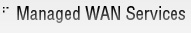 managed wan services